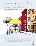 Load image into Gallery viewer, Love Lab Book 5 - Secrets of the Spark
